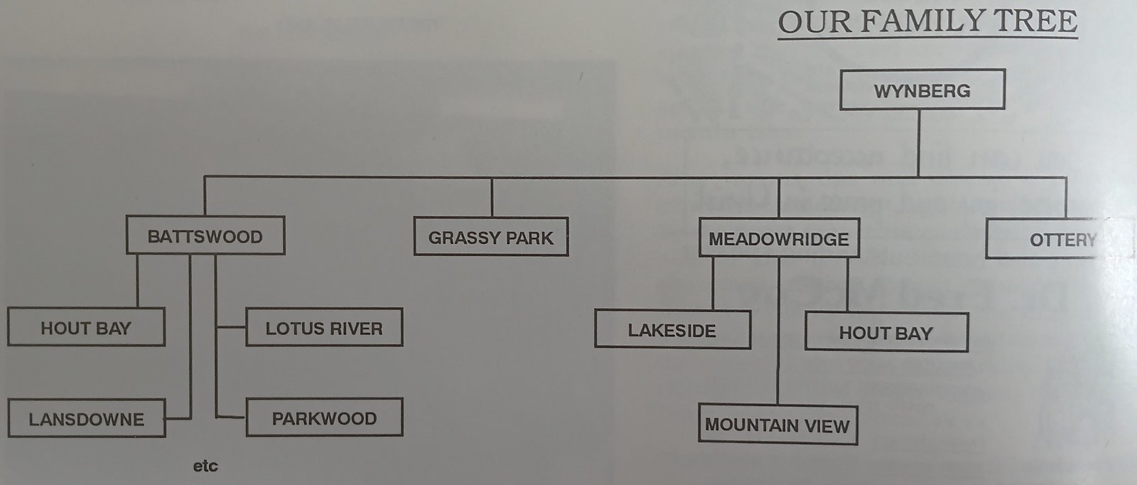 Church history family tree graphic