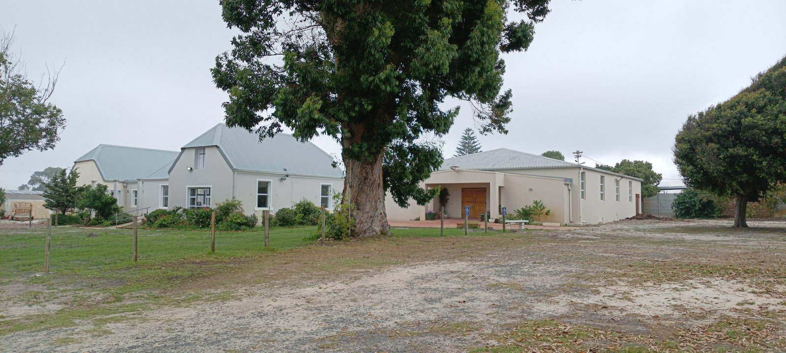 Current view of the grounds at Squirrels Leap Farm